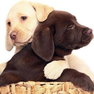 Meet your Posher, Kiely marie